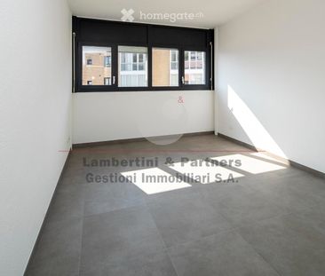 3.5 Zimmer, 83 m² - Foto 2