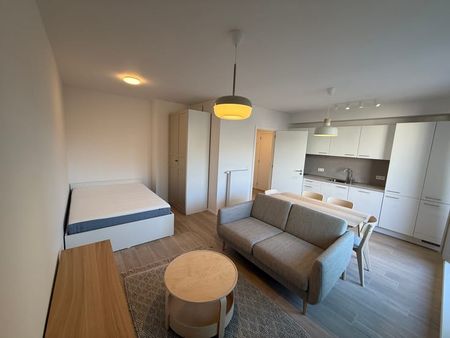 Penthouse te huur - Photo 3