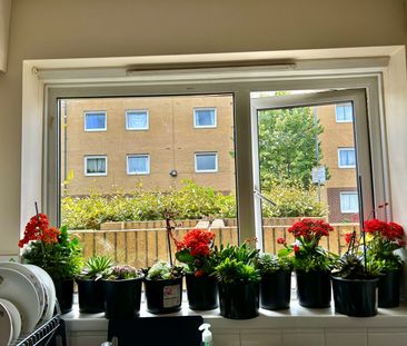 2 Bed Detached House, Nightingale Avenue, HA1 - Photo 4