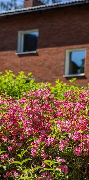 Åbymovägen 18 - Photo 1