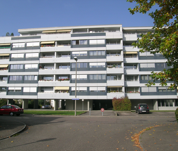 Grosszügige 2.5- ZWG in der schönen Gemeinde Reinach! - Photo 6