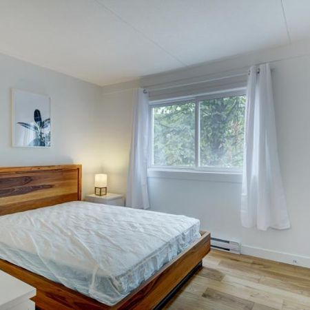 Appartement 4 ½ à louer Sainte-Foy / Sillery juillet 2026 - Photo 3