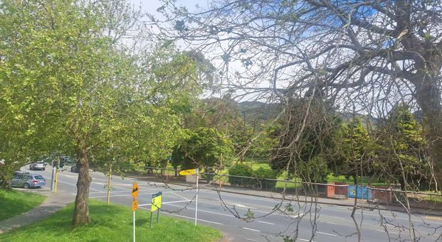 Brand New Apartment - Photo 1