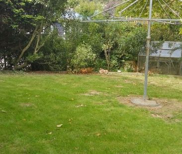 Newly renovated 1960's style home. - Photo 4