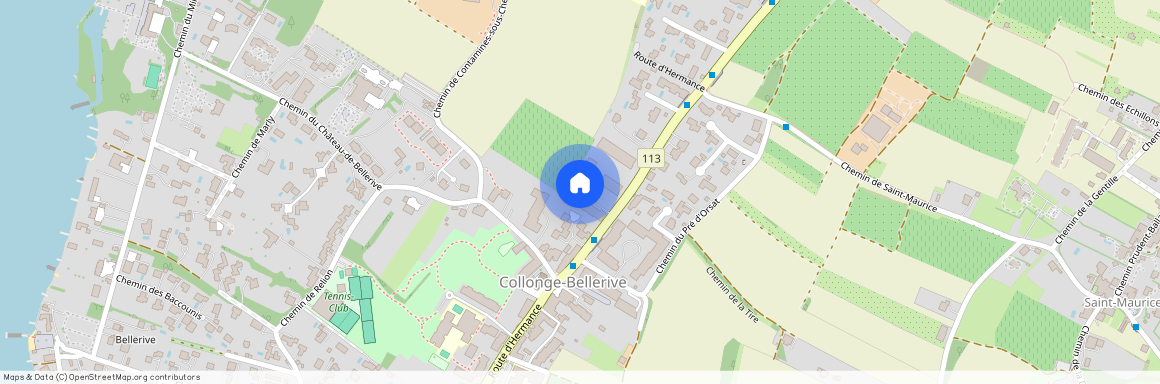 Route D'hermance 139, 1245 Collonge-Bellerive