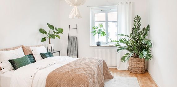 Vadsbogatan, Töreboda - Foto 2