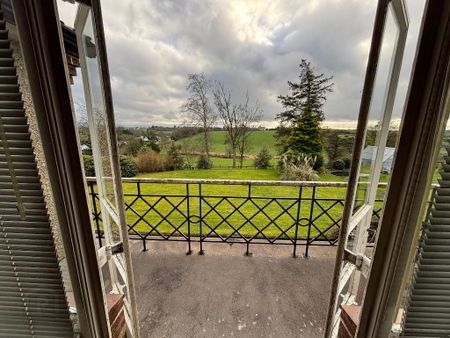 117 Hillsborough Road, Dromore, BT25 1QW - Photo 3