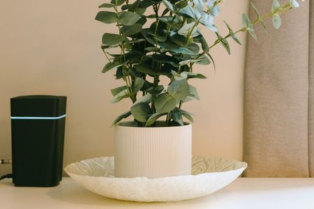 1 Bedroom Home – Medium Let - Photo 3