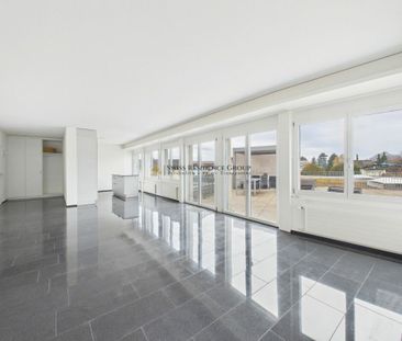 Spacious 3.5-room terrace apartment – Sunny view in Rapperswil-Jona - Foto 4
