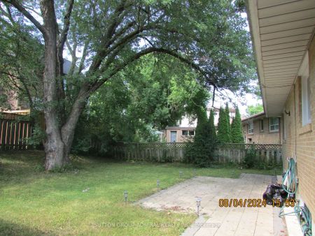 Detached Home For Lease | N9244900 - Photo 4