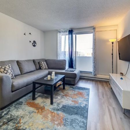 Appartement 3½ à louer – 1 250$/mois 3½ ---- Apartment for Rent – $1,250/month - Photo 3