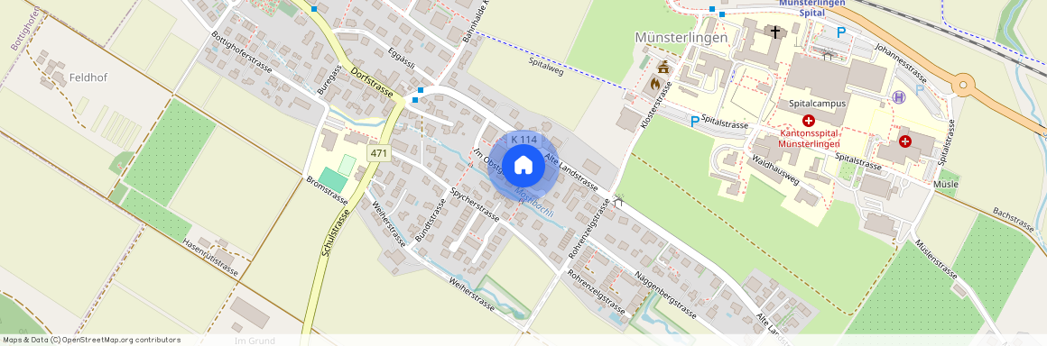 Im Obstgarten 7 8596 Scherzingen