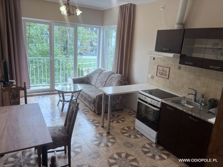 3 pokoje wynajem Przylesie ODI/2479 - Фото 3