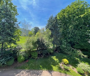 Appartement 24 m² - 1 pièce - Sèvres (92310) - Photo 6