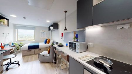 Standard Studio - Photo 4