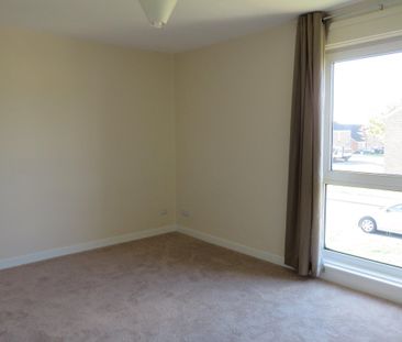 Sycamore Walk - Photo 1