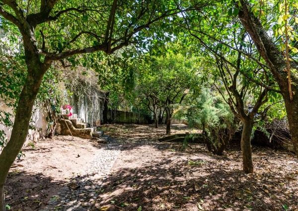 Moradia T7 em Coimbra