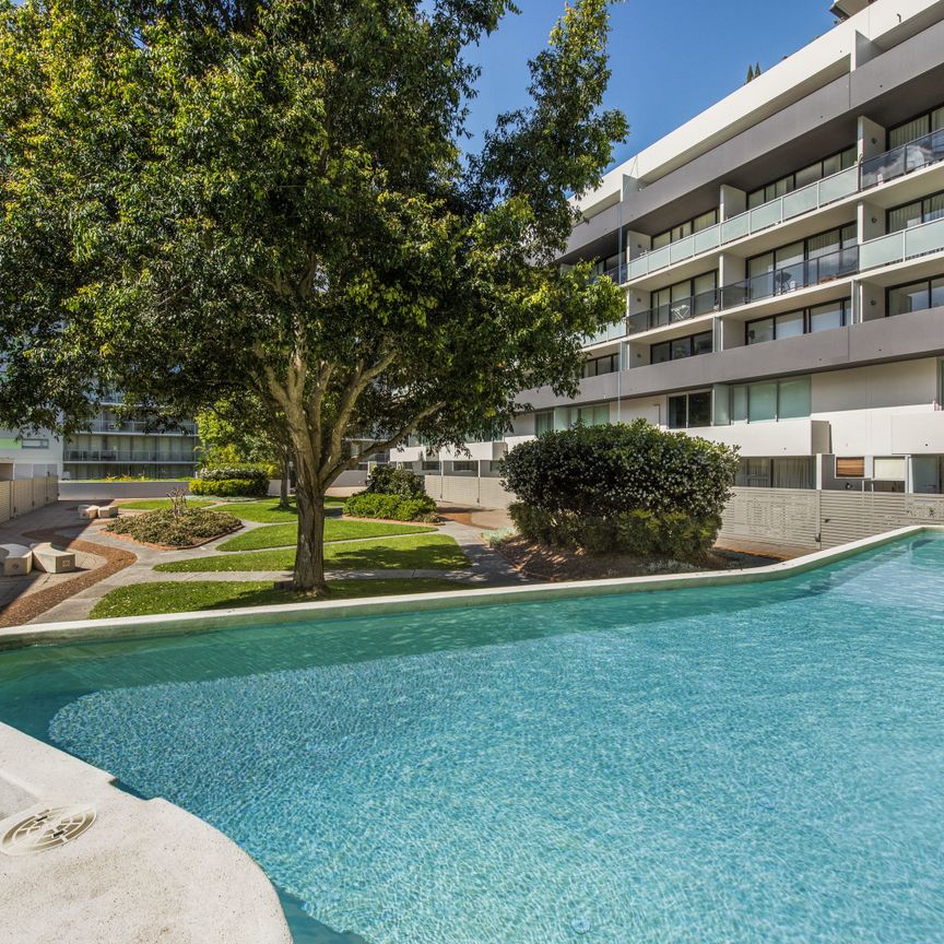 Unit 31/2 Hutchinson Walk, Zetland NSW 2017 - Apartment For Rent | Domain - Photo 1