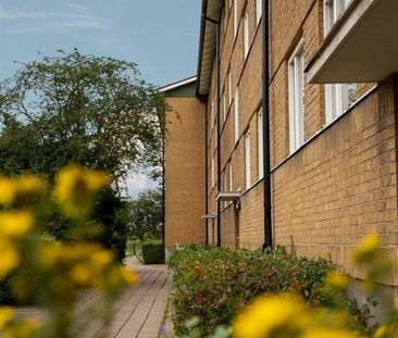 Långarödsvägen 46 A - Photo 1