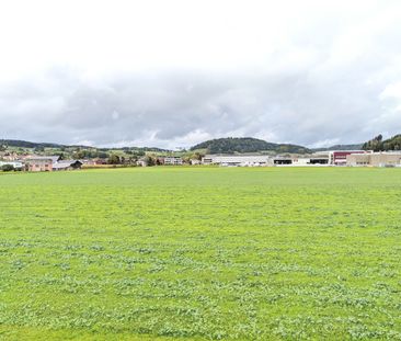 2.5-Zimmerwohnung mit grüner Aussicht - Foto 4