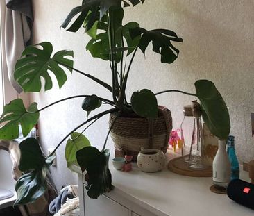 Huize High Five - Foto 2