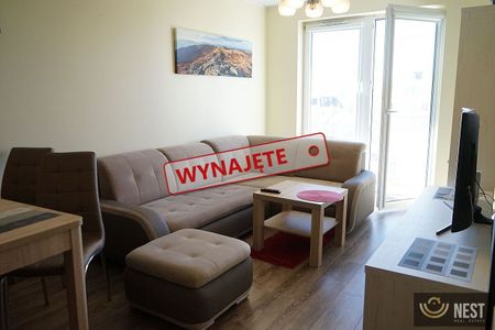 Do wynajęcia dwupokojowe mieszkanie, ul. Potulicka ! - Photo 2