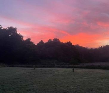 Charming country living with stunning views - Photo 5