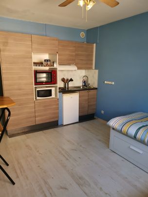 LOCATION d'un appartement T1 (18,68 m² Carrez) à STRASBOURG - Photo 1