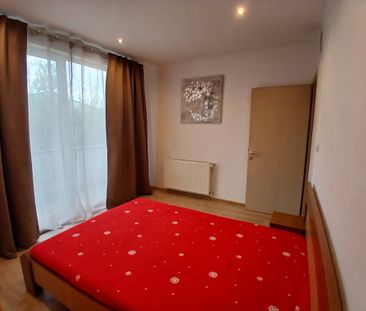 Proprietar închiriez casa Tunari - strada Paris - Photo 4