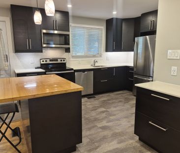 For Lease - 2529 ROMAN Avenue Unit# A, Britannia Heights - Queenswa... - Photo 3