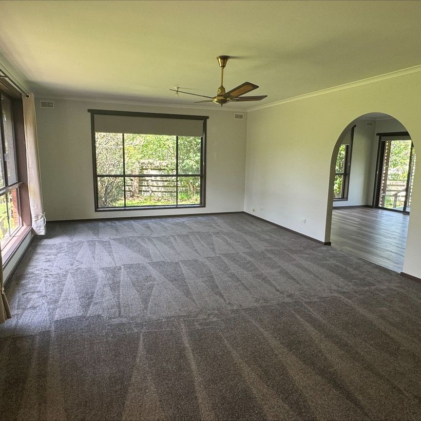 Toongabbie Delight - Photo 1