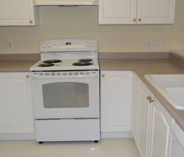 all new appliances new floor one bedroom apartment Maple Ridge - Photo 3