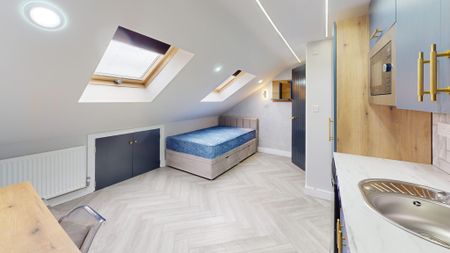 Studio 6 69A Raddlebarn Road Selly Oak - Photo 4