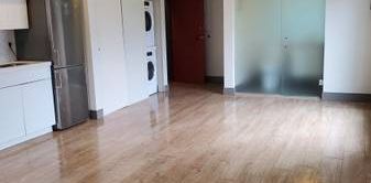 Newly Renovated Studio Apartment - $300 Move-In Bonus! - Photo 2