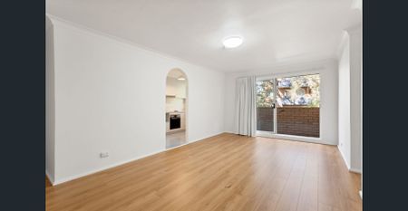 Light-filled Newly Renovated Two Bedroom Apartment - Photo 2