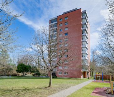 Erste gemeinsame Wohnung - Photo 4