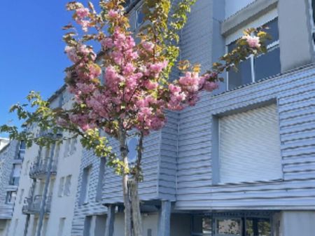 Location Appartement 2 pièce(s) de 26.15 m2 - Photo 4