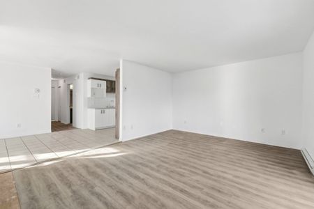 Appartement à louer - Gatineau (Hull) (Plateau de la Capitale) Appartement à louer - Gatineau (Hull) (Plateau de la Capitale) - Photo 2