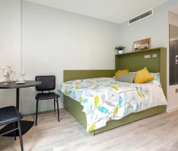 Large Classic Studio - Photo 5