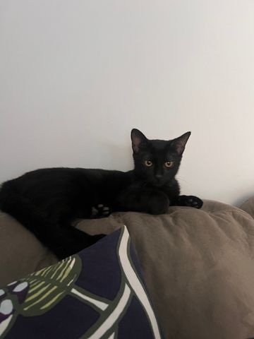 Burleigh Waters - Photo 2