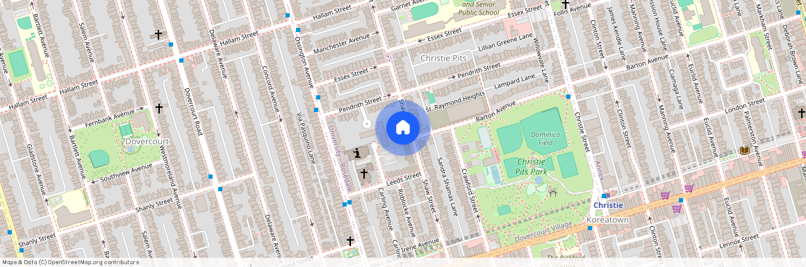 856 Shaw Street Unit# BSMT, Toronto