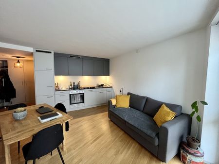 Wunderschöne Wohnung sucht neuen Mieter/in - Foto 3