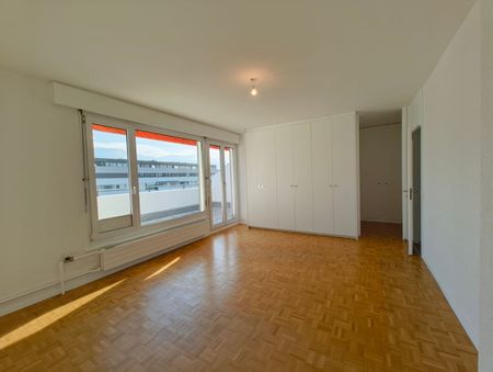 Charming through apartment in attic, with 2 terraces - Photo 4