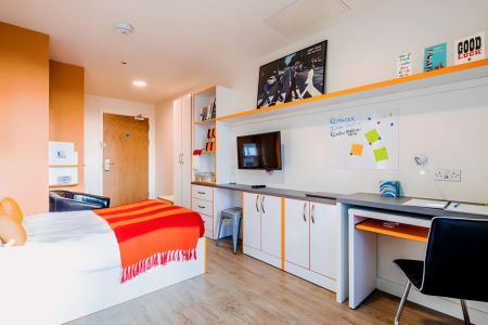 Classic Plus Studio - Photo 2