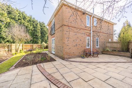 Tulip Fields, Spalding, Whaplode - Photo 5