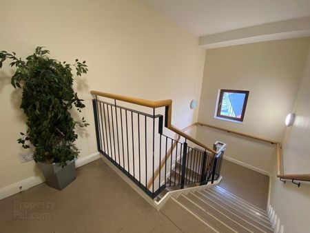 Apt 19, 114 Templemore Avenue - Photo 5