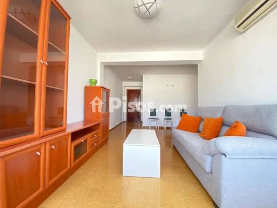 Piso en alquiler en Jerez de La Frontera - Photo 1