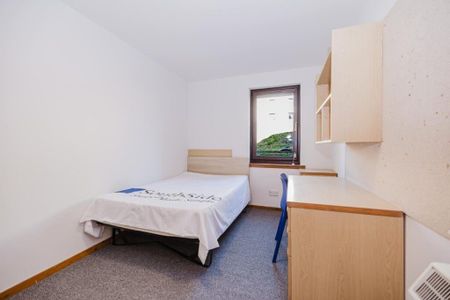 5 bedroom flat to rent - Photo 4
