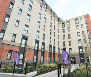 Deluxe Studio - Photo 6