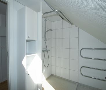 Charmerende taglejlighed med lys og plads i Aalborg - Photo 6